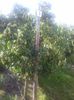 IMG-20210909-WA0105