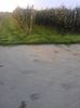 IMG-20210909-WA0110