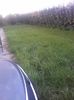 IMG-20210909-WA0109
