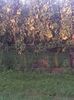 IMG-20210909-WA0107