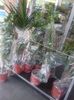 IMG-20210909-WA0137