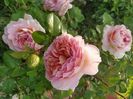 Abraham Darby