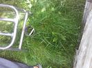 IMG-20210916-WA0002
