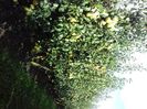 IMG-20210916-WA0000