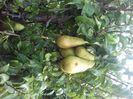 IMG-20210914-WA0009