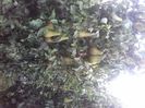 IMG-20210914-WA0007