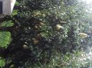 IMG-20210914-WA0003