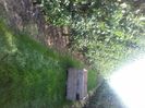 IMG-20210913-WA0020