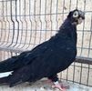 A8D56EDF-D30E-4EFC-8ADE-CB2843627930