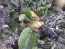 IMG-20210927-WA0002