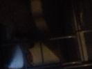 IMG-20210926-WA0034