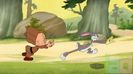 Looney Tunes