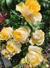 received_1419150325116491