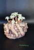 Pentz pottery