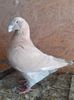 received_1175327996291135