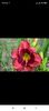 Screenshot_2021-10-15-20-33-21-940_com.facebook.katana