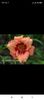 Screenshot_2021-10-15-20-31-14-065_com.facebook.katana