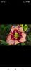 Screenshot_2021-10-15-20-31-06-070_com.facebook.katana