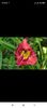 Screenshot_2021-10-15-20-30-52-924_com.facebook.katana