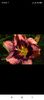 Screenshot_2021-10-15-20-30-36-524_com.facebook.katana
