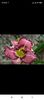 Screenshot_2021-10-15-20-30-25-964_com.facebook.katana
