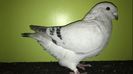 IMG-20211024-WA0002