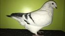 IMG-20211024-WA0001