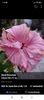 Screenshot_2021-10-24-14-35-42-626_com.facebook.katana