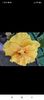 Screenshot_2021-10-22-17-20-10-536_com.facebook.orca