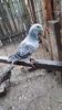 VideoCapture_20211015-231416