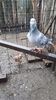 VideoCapture_20211015-231358