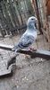 VideoCapture_20211015-231348