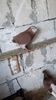 VideoCapture_20210929-195525