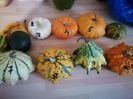 IMG-20211108-WA0011