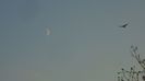 Luna in crestere in Varsator