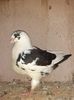 received_358579399107060