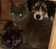 IMG-20211113-WA0000