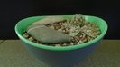 Mammillaria saboae ssp. goldii