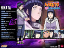 hinata-s-profile-wallpaper-naruto-shippuuden-9312361-1024-768