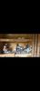 Screenshot_20210824-100407