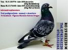 RO 19 031210 M Pret 150 Lei +  transportul
