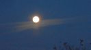 Rasarit de luna plina in Taur
