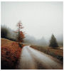 ♡ November 23 » „And your heart s against my chest, your lips pressed to my neck. I m falling