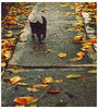 ♡ November 24 » „I wanna be your slave, I wanna be your master. I wanna make your heart