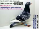 RO 21 1087361 M Pret  150 Lei  +  transportul