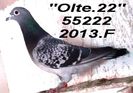 2013-055222.F.f