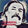Ion dragos sireteanu