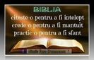 Biblia