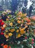 received_3189115581325136