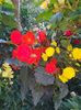 received_206055864935026